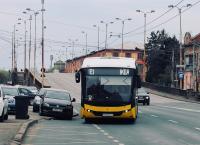 Imagine atasata: IMG_1521z-1ratt.jpg